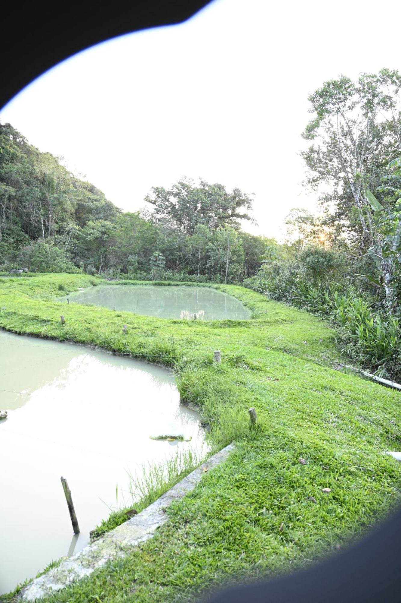 Recanto Vale Do Gigante Antonina Bagian luar foto